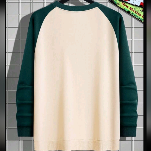 Men's Fashionable Colorblock Sweatshirt - Picture 2 of 4